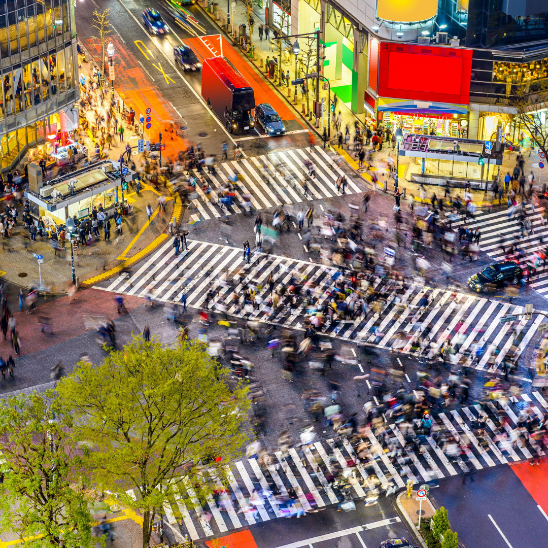 THE FUJI MATCHA 東京フレーバー