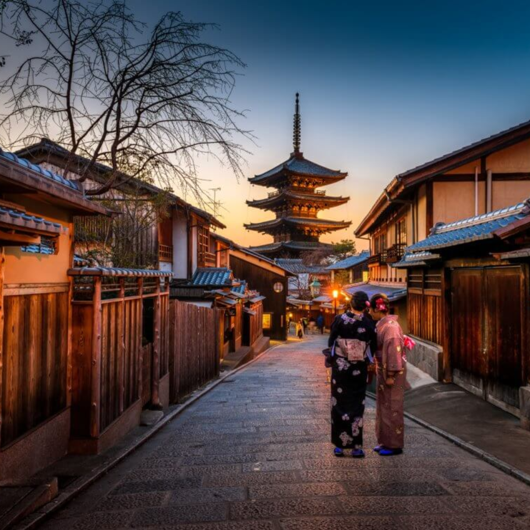 Fuji Matcha - Kyoto Flavor