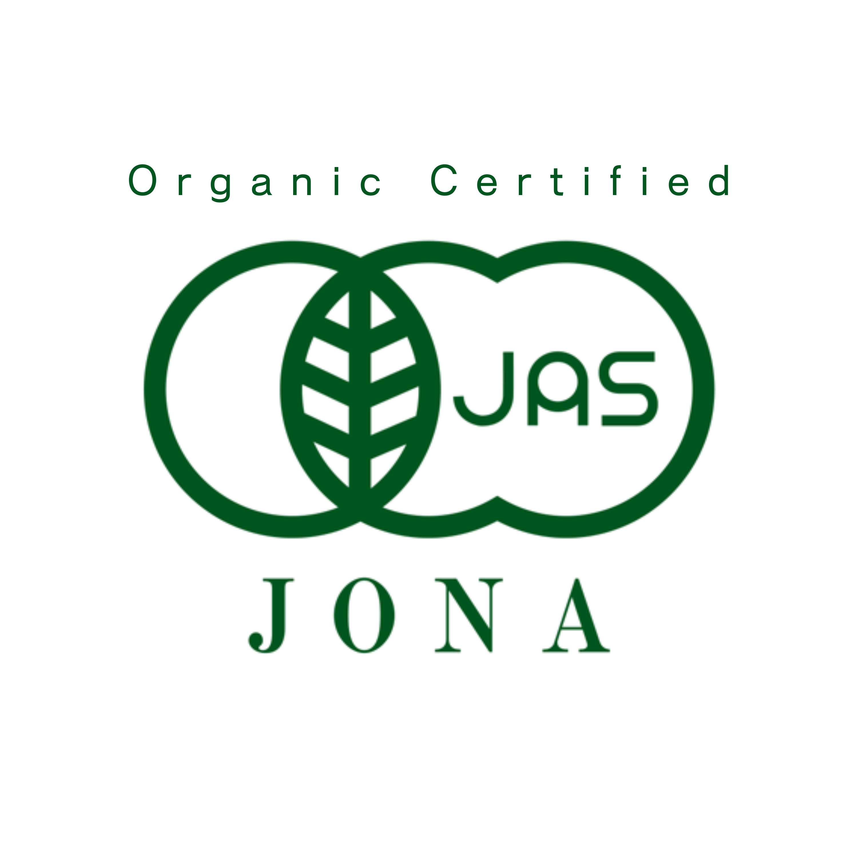 Fuji Matcha - Organic Matcha